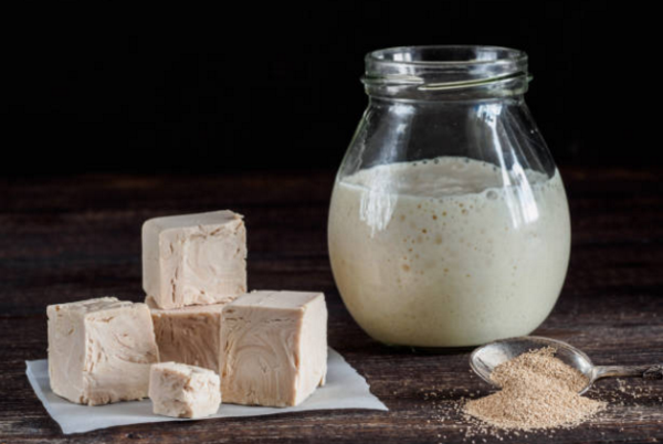 yeast là gì